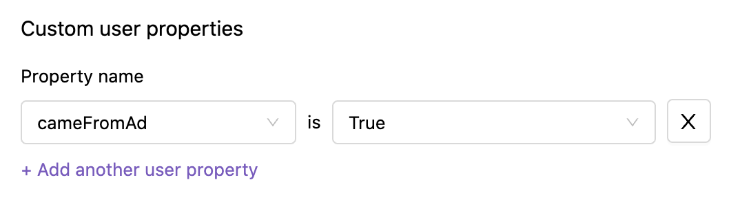 Filter by custom user properties
